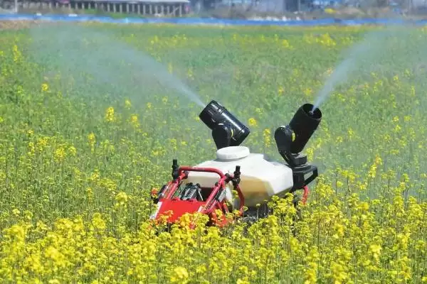 除草剂打过之后多久下雨没事呢,除草剂打过之后多久下雨没事插图2 除草剂打过之后多久下雨没事呢,除草剂打过之后多久下雨没事插图2