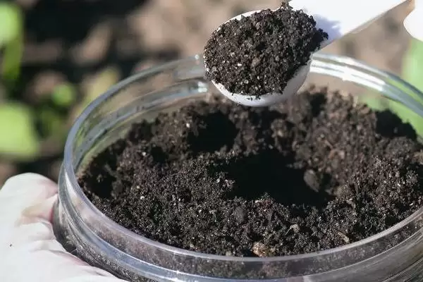 多功能生物肥料接种剂,多功能生物肥料接种剂是什么类型肥料插图2 多功能生物肥料接种剂,多功能生物肥料接种剂是什么类型肥料插图2