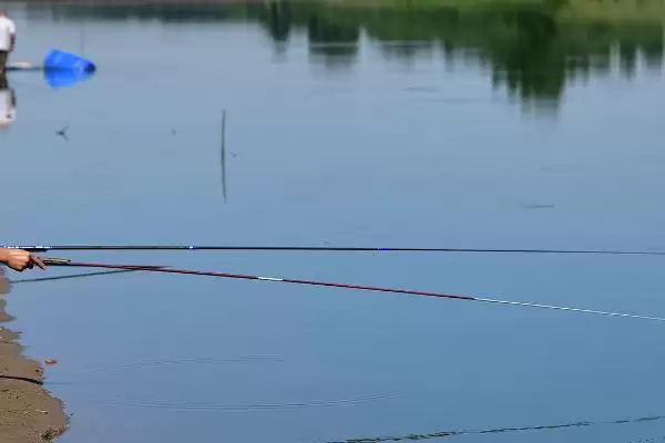 垂钓青鱼的适宜时间是什么时候,垂钓青鱼的适宜时间插图3 垂钓青鱼的适宜时间是什么时候,垂钓青鱼的适宜时间插图3