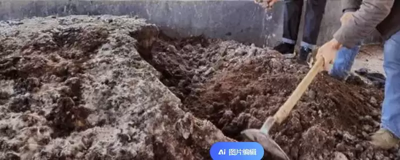 如何判断饼肥完成发酵的方法有哪些？-会东网
