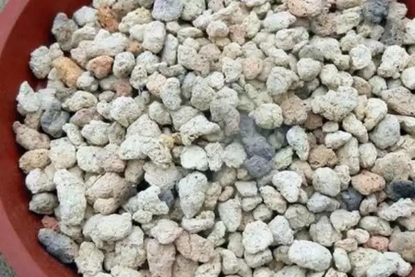 多肉换土的间隔时间,多肉换土的间隔时间是多久一次插图2