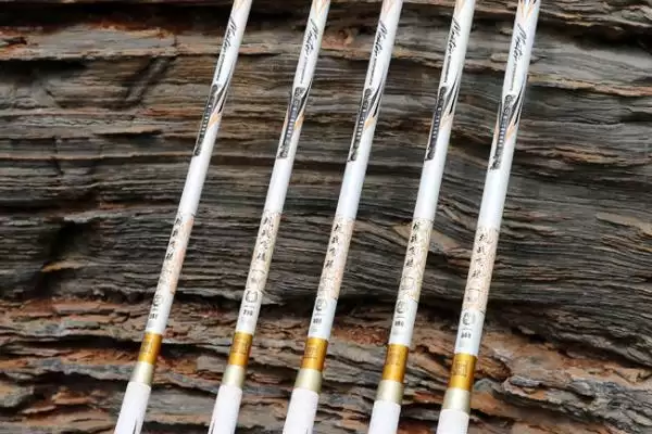 大物竿的基本介绍及类型,大物竿是什么类型的台钓竿插图3