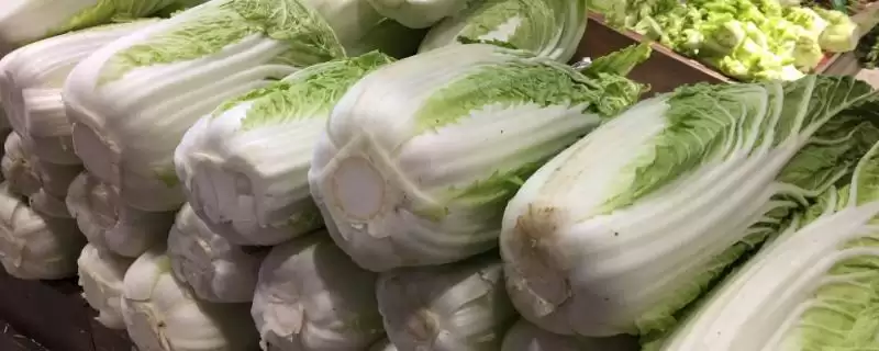 蔬菜食用菌类存放最佳温度多少?-会东网