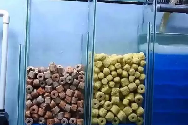 鱼缸过滤棉脏了及时清洗多久洗一次详细解答插图3 鱼缸过滤棉脏了及时清洗多久洗一次详细解答插图3