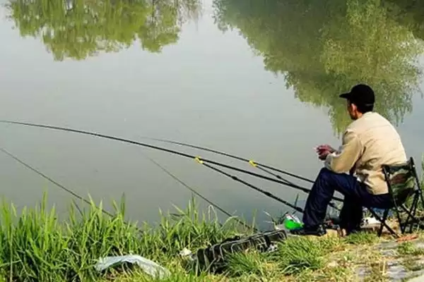 垂钓鲢鳙的适宜深度是多少呢,垂钓鲢鳙的适宜深度插图4