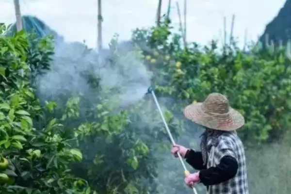 线虫农药防治如何选高剧毒药剂？插图1