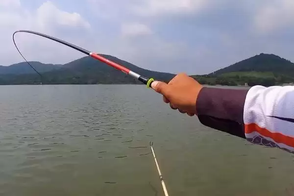 钓大鱼的钓层选择情况,钓大鱼要钓浮还是钓底如何选择插图4