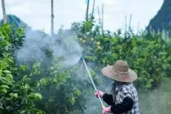 代森锰锌的农药混用禁忌,代森锰锌不能与哪些农药混合使用插图1