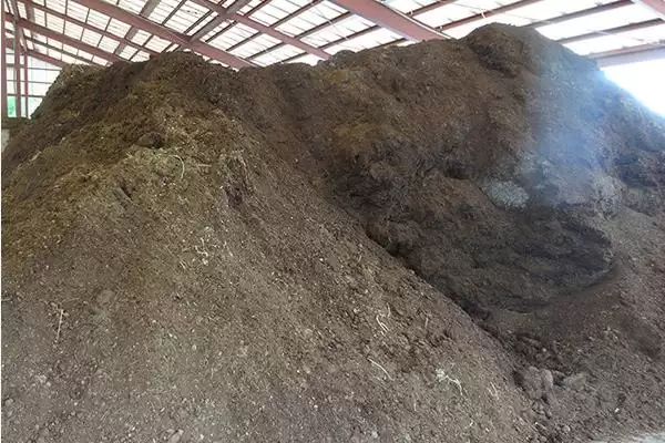 如何判断饼肥完成发酵的方法有哪些？插图3