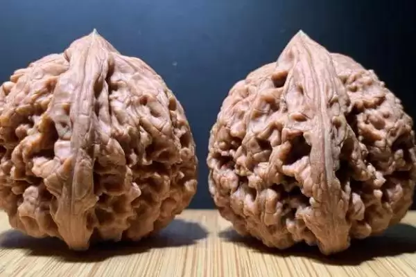 帝王狮子头核桃的介绍,帝王狮子头核桃是怎样的文玩核桃插图2