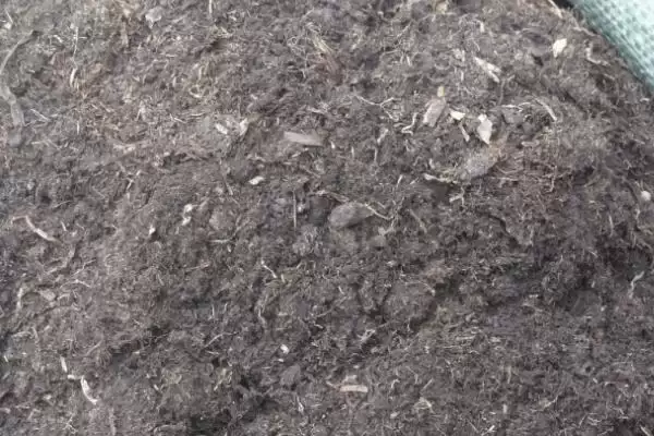 多肉换土的间隔时间,多肉换土的间隔时间是多久一次插图6