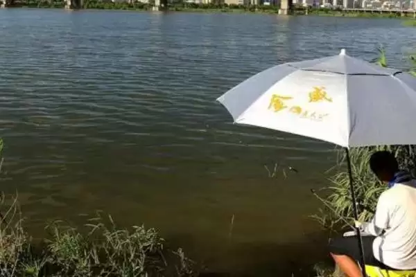 钓大鱼的钓层选择情况,钓大鱼要钓浮还是钓底如何选择插图2