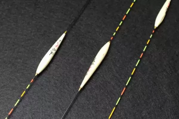 鱼漂常见有哪些种类如立式漂？插图1