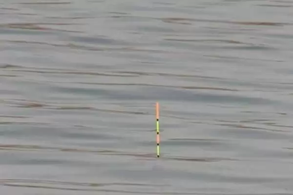 钓罗非鱼的调钓方法选择,钓罗非鱼适合调几钓几的方法插图1