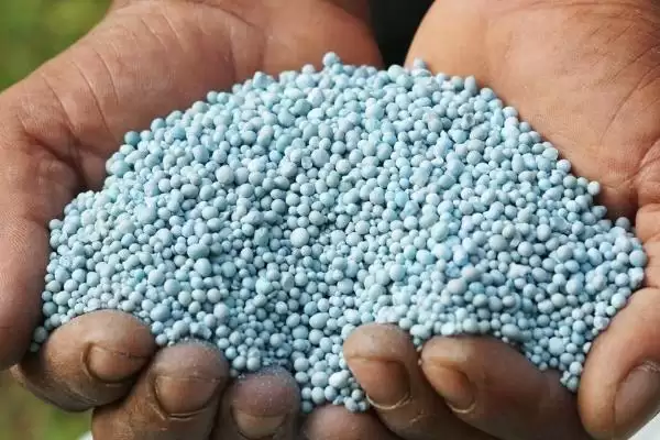 常用氟节胺矮壮素多效唑棉花免打顶剂药种类插图9