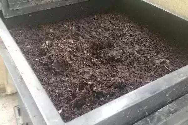 如何判断饼肥完成发酵的方法有哪些？插图8