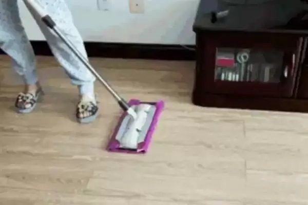 去除猫尿骚味选何吸味猫砂？插图4