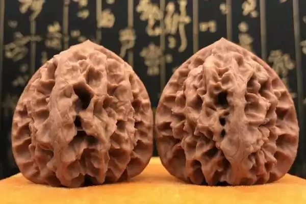 帝王狮子头核桃的介绍,帝王狮子头核桃是怎样的文玩核桃插图3