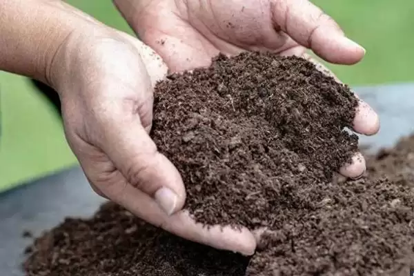 如何判断饼肥完成发酵的方法有哪些？插图4