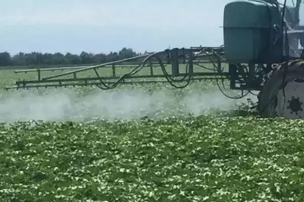 棉花滴灌不同肥料滴施方式不同施肥方法解析插图1