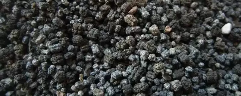 蚕屎如何发酵成有机肥呢,蚕屎如何发酵成有机肥-会东网