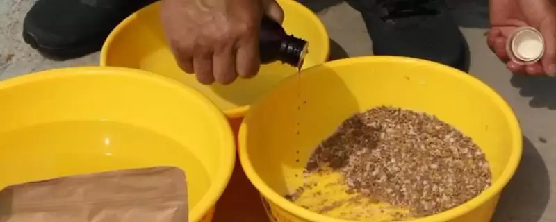 丁香油加入饵料钓鱼情况,丁香油可以加入饵料用于钓鱼吗-会东网