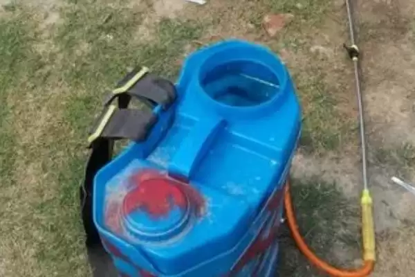 除草剂打过之后多久下雨没事呢,除草剂打过之后多久下雨没事插图3 除草剂打过之后多久下雨没事呢,除草剂打过之后多久下雨没事插图3