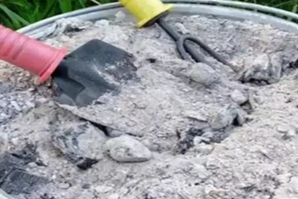 草木灰属于什么类型的肥料呢,草木灰属于什么肥插图3 草木灰属于什么类型的肥料呢,草木灰属于什么肥插图3