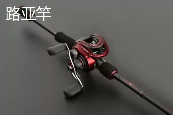 筏钓竿全套价格,筏钓竿全套价格因什么因素而不同插图3
