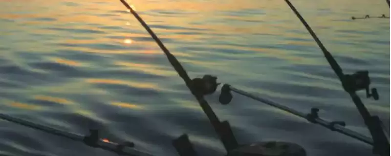 海钓在大海中钓鱼有何相关介绍?-会东网