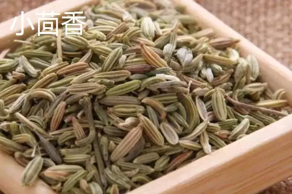 大茴香和小茴香有什么区别呢,大茴香和小茴香有什么区别插图2 大茴香和小茴香有什么区别呢,大茴香和小茴香有什么区别插图2