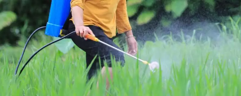 打了除草剂后多久会见到效果,打了除草剂多久见效-会东网