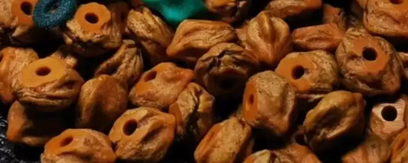 百香籽所属树种,百香籽是哪种树的种子插图 百香籽所属树种,百香籽是哪种树的种子插图