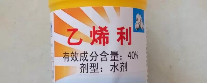 催熟剂具有怎样的作用和效果,催熟剂的作用-会东网