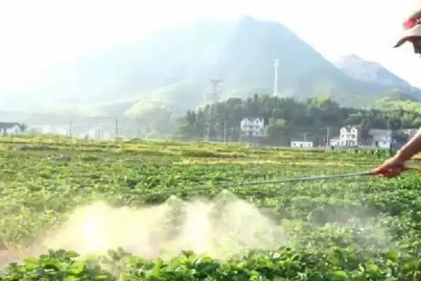 代森锰锌的农药混用禁忌,代森锰锌不能与哪些农药混合使用插图4