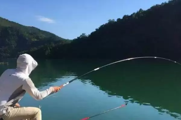 钓黑鱼的方法种类方式,钓黑鱼的方法有哪些常见的类型插图2