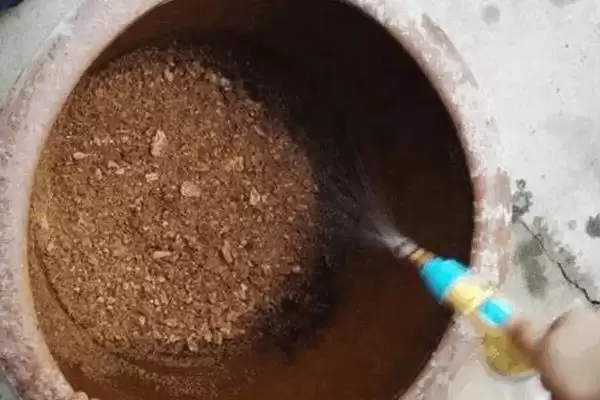 如何判断饼肥完成发酵的方法有哪些？插图6