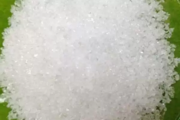 种植密大氮肥多等致棉花黄萎病发病原因解析插图3