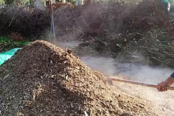 蚕屎如何发酵成有机肥呢,蚕屎如何发酵成有机肥插图2