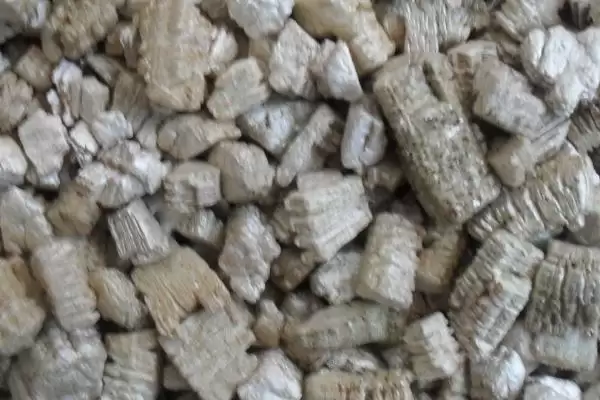 多肉换土的间隔时间,多肉换土的间隔时间是多久一次插图3