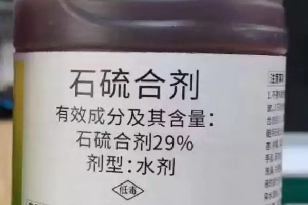 党参红蜘蛛的防治方法措施,党参红蜘蛛的防治方法有哪些措施插图2 党参红蜘蛛的防治方法措施,党参红蜘蛛的防治方法有哪些措施插图2