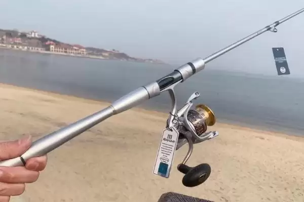 筏钓竿全套价格,筏钓竿全套价格因什么因素而不同插图1