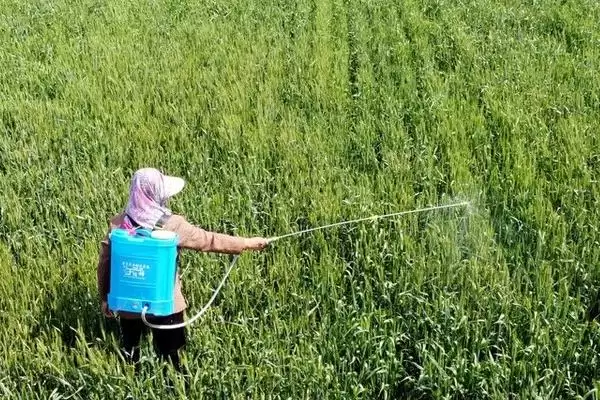 代森锰锌的农药混用禁忌,代森锰锌不能与哪些农药混合使用插图2