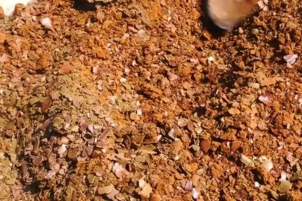 如何判断饼肥完成发酵的方法有哪些？插图1