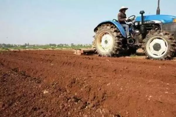 如何判断饼肥完成发酵的方法有哪些？插图7