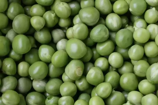 天隆一号大豆种子平均生育期几天？插图3