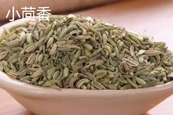 大茴香和小茴香有什么区别呢,大茴香和小茴香有什么区别插图4 大茴香和小茴香有什么区别呢,大茴香和小茴香有什么区别插图4