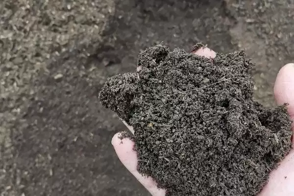 氮肥和磷钾肥的介绍对比,氮肥和磷钾肥有哪些不同的介绍插图4 氮肥和磷钾肥的介绍对比,氮肥和磷钾肥有哪些不同的介绍插图4