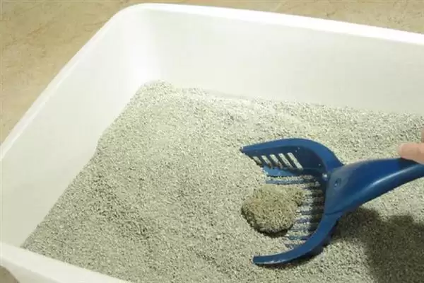 去除猫尿骚味选何吸味猫砂？插图2