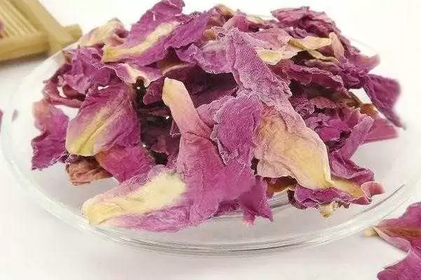 杜鹃花的分类情况,杜鹃花的分类有哪些常见的种类插图11